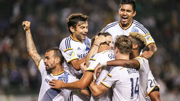 冠军精神的 冠军精神的