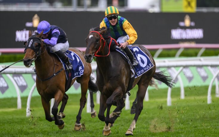 的整体发挥 的整体发挥