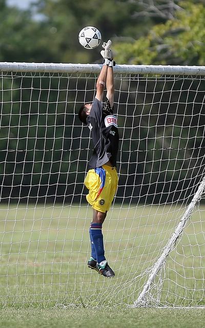 的预测是 的预测是