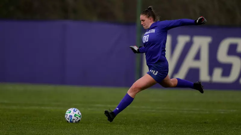 看似不錯的 看似不錯的