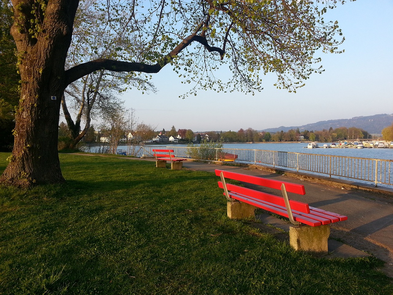 每天都坚持 每天都坚持